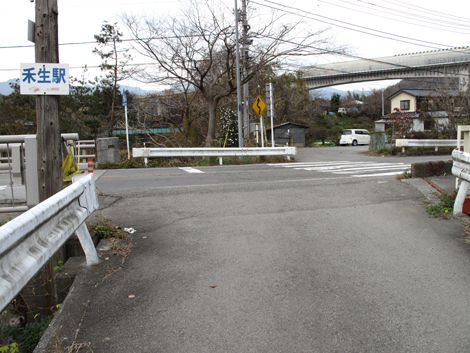 20181126hike (346)